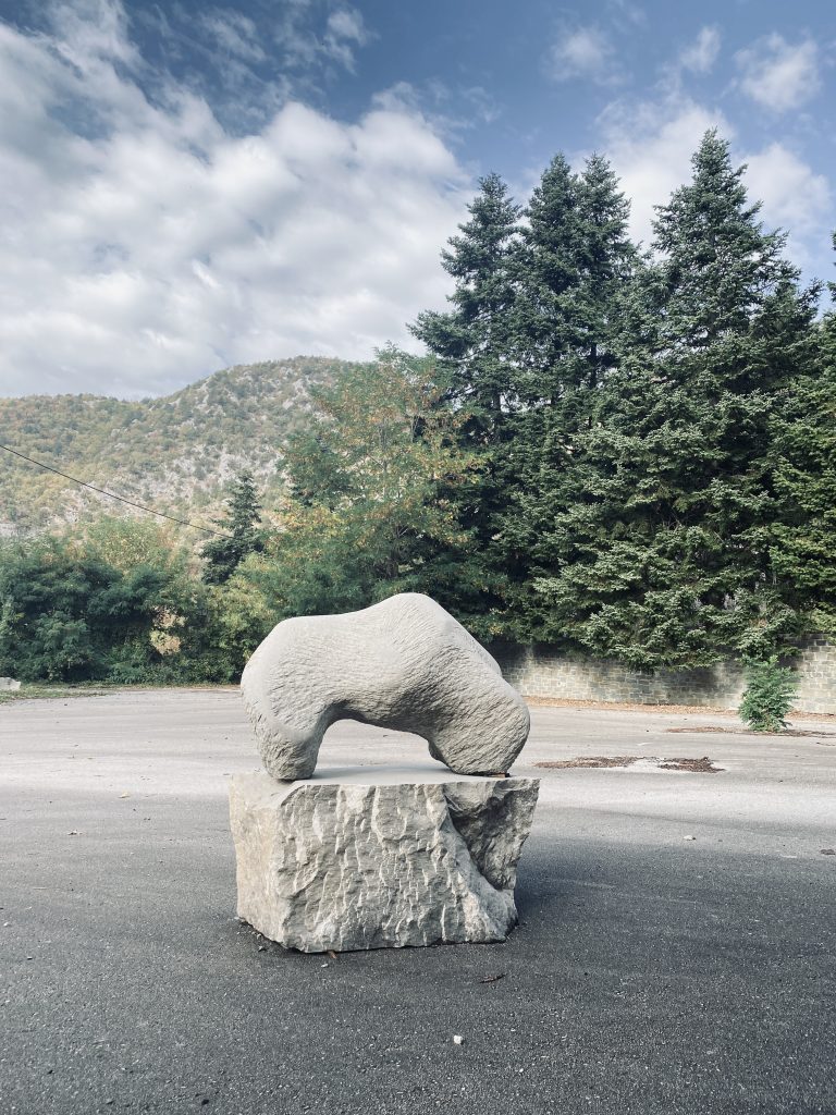 Read more about the article Arctus