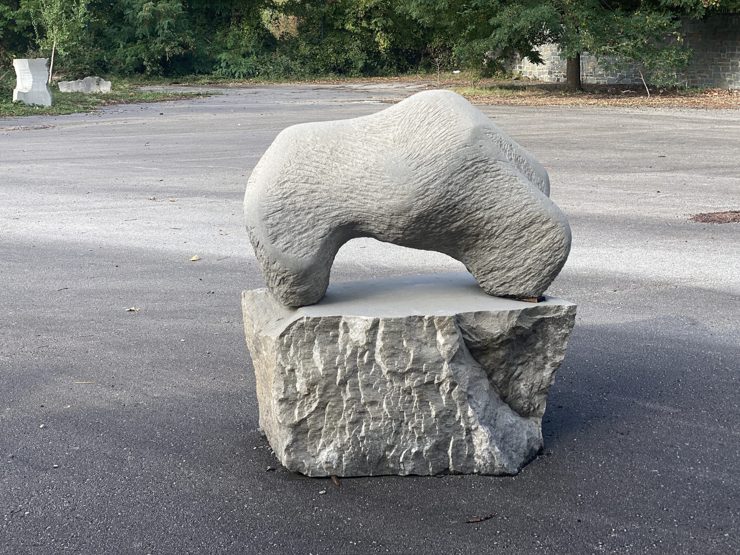 You are currently viewing Άρκτος